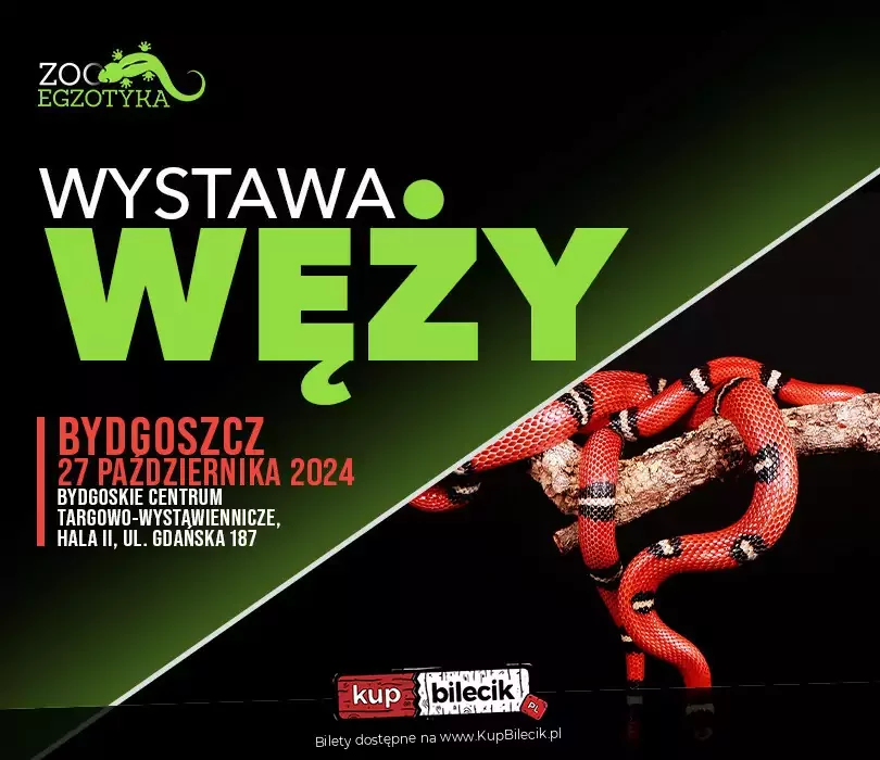 Wystawa węży