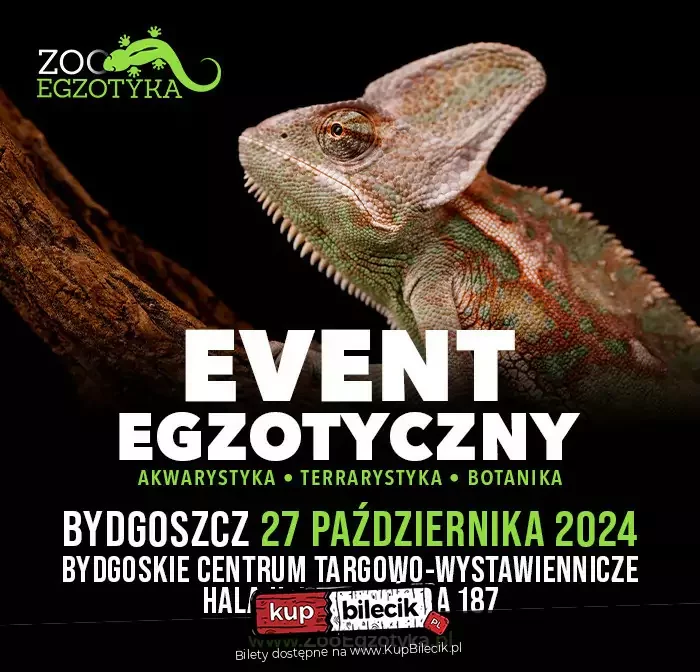 ZooEgzotyka