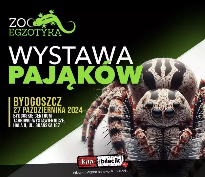 Wystawa Pająków